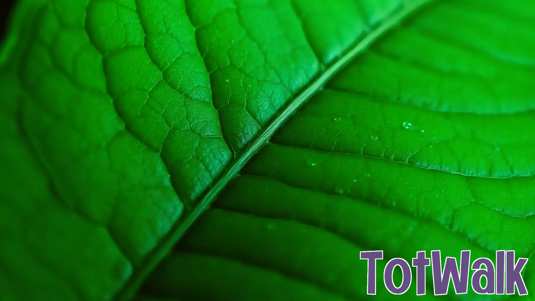 Bonnie Wright Announces Second Pregnancy, Celebrates Eco-Conscious Parenting