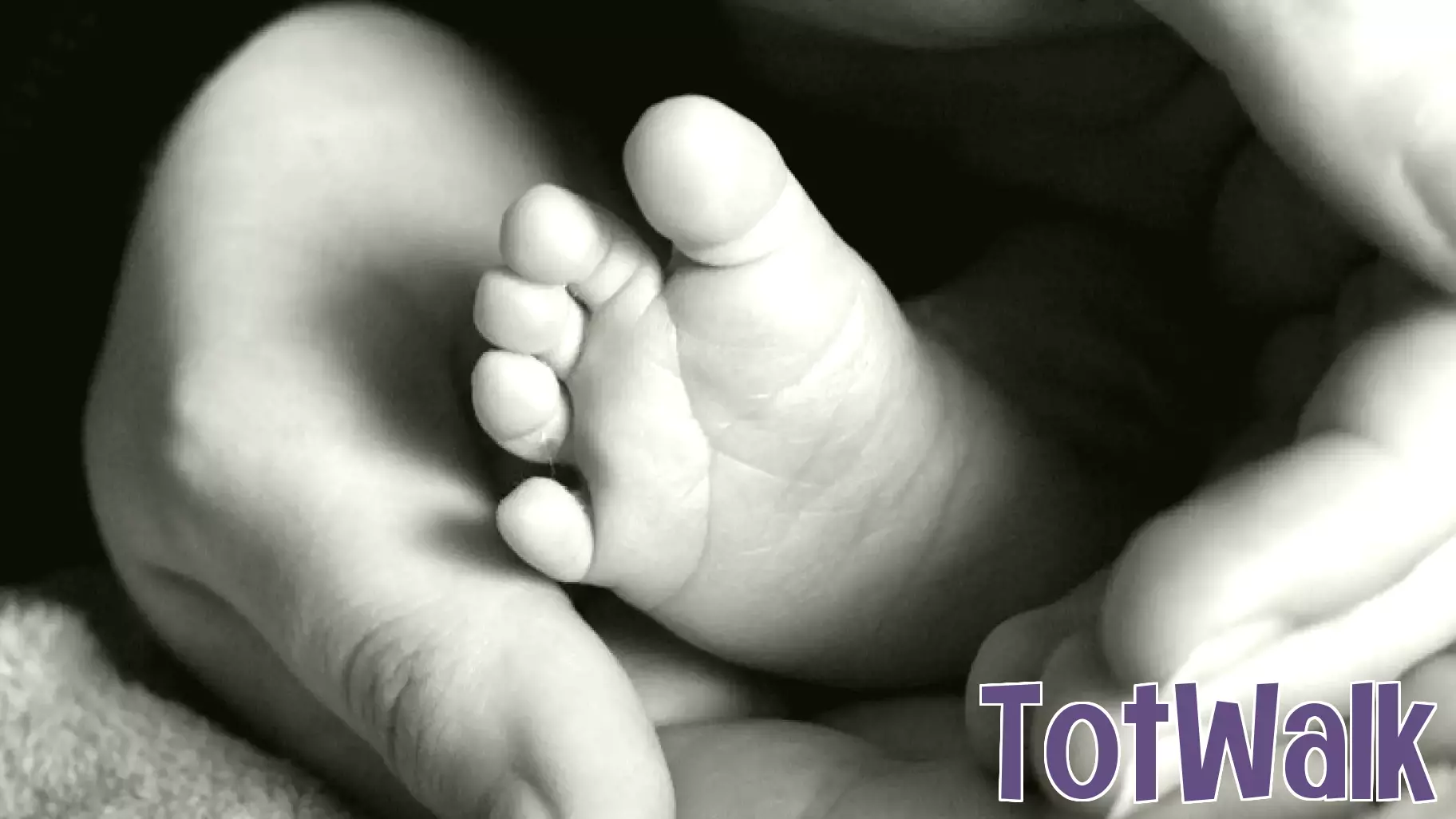 Embracing the Journey of Motherhood: Essential Reads for New Parents