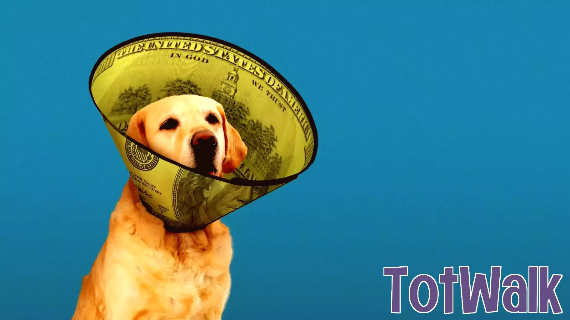 The cost of pet parenting is soaring