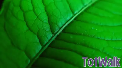 Bonnie Wright Announces Second Pregnancy, Celebrates Eco-Conscious Parenting