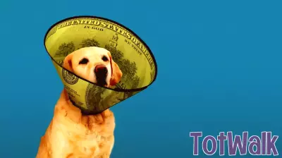 The cost of pet parenting is soaring