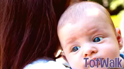 The Growing Debate on Babies in Public Spaces